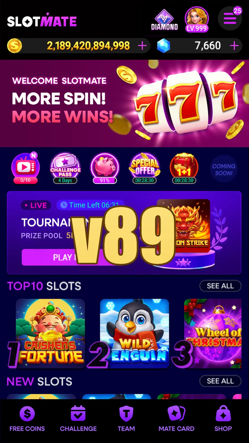 v89 APK